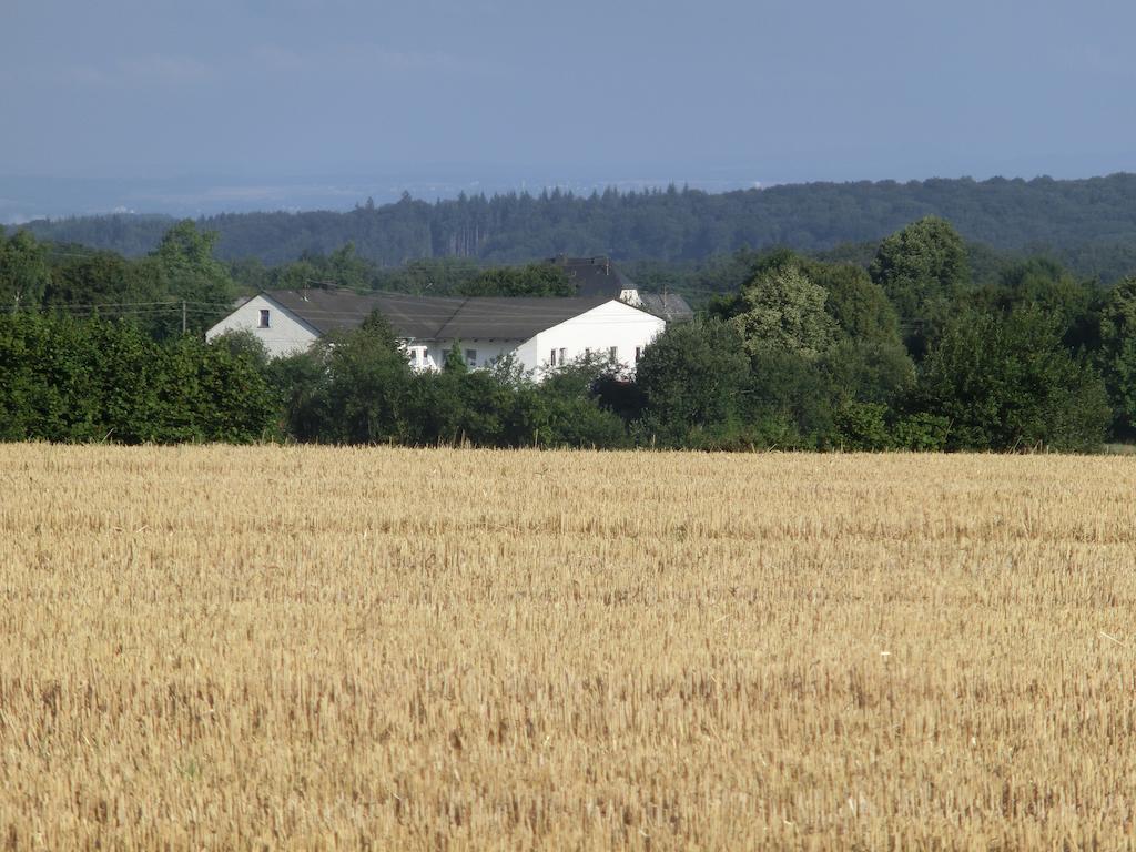 Lindenhof Hahn Lägenhet Blankenrath Exteriör bild