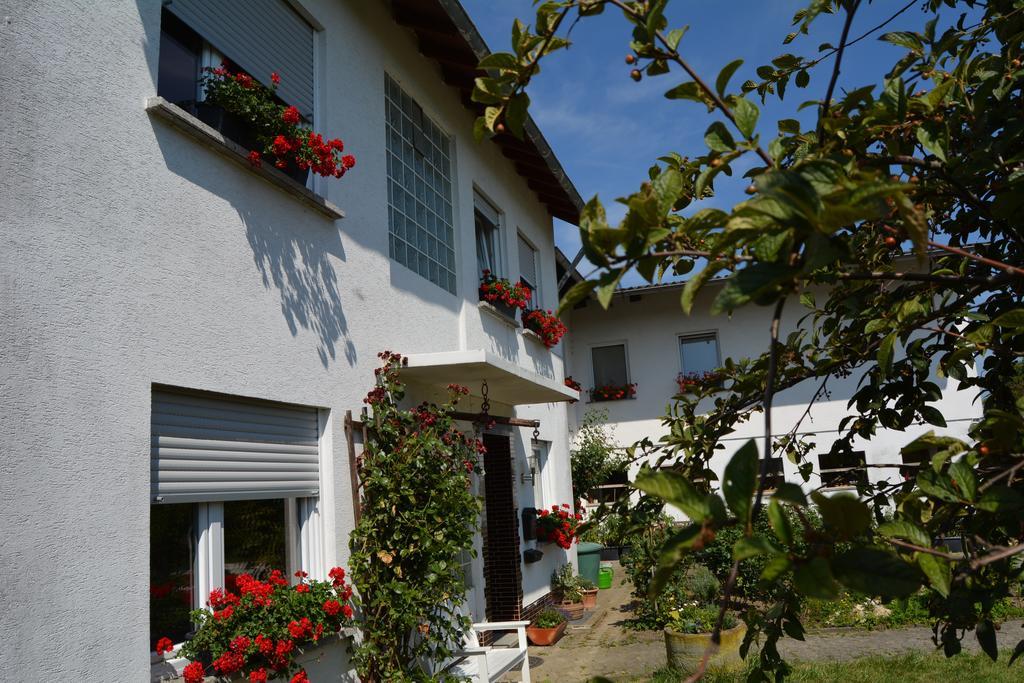 Lindenhof Hahn Lägenhet Blankenrath Exteriör bild